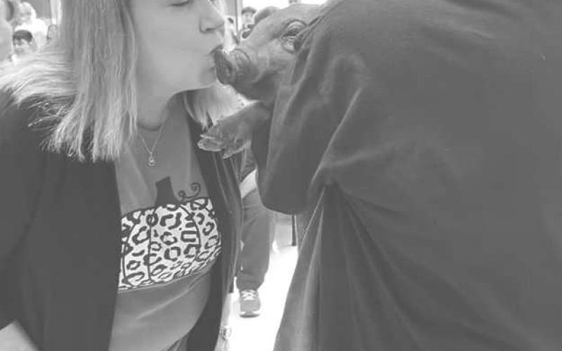 KISS A PIG - LMS students raised money to make an administrator Kiss A Pig! They raised $700 that will go right back to them. The lucky pig kisser was LMS Assistant Principal Laurie Jones. (Photo by Levelland ISD)