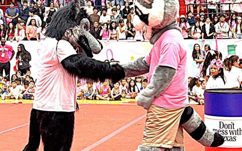 BATTLING FOR THE PINK-- It was packed gym when Keep Levelland Beautiful and Litter Critter joined in for the LHS Pink Out Pep Rally this past Friday in recognition of Breasat Cancer Awareness Month and its victims and survivors. (Levelland ISD photo).