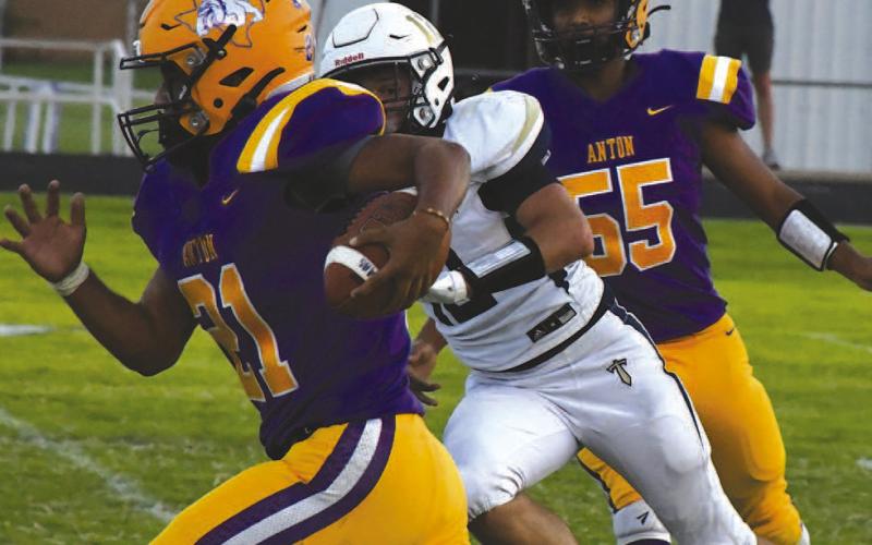 Bulldogs fall to Kingdom