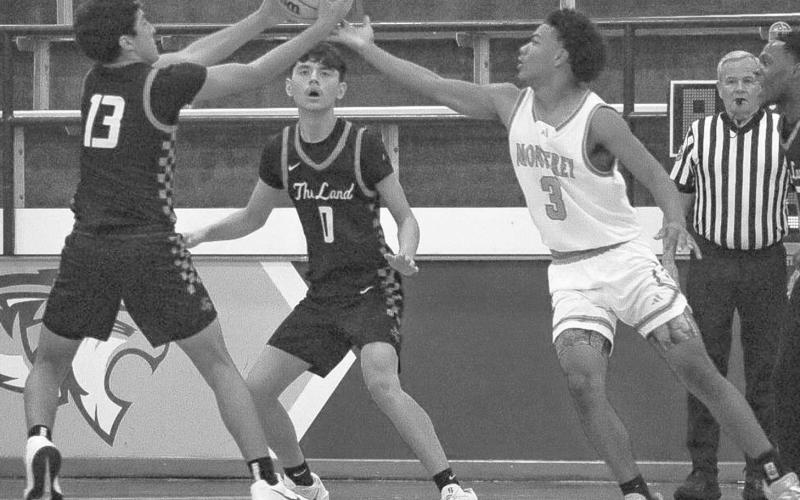 UP FOR GRABS - Levelland Lobo Ethan Salazar pulled down the rebound during the team’s game at Frenship against Monterey. (Staff photo by Aalijah Soliz)