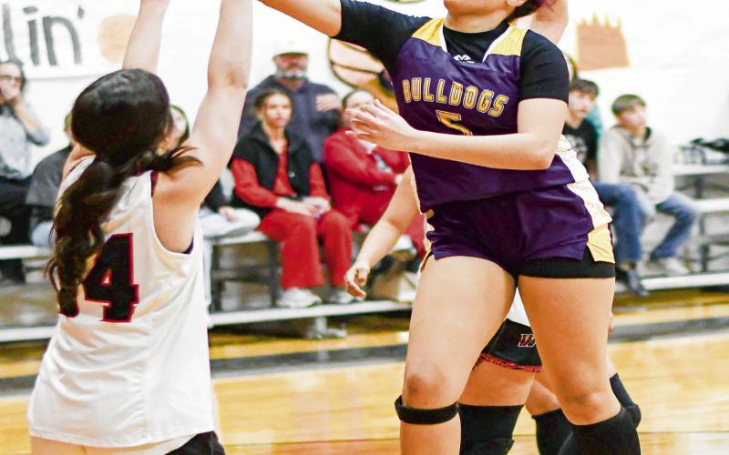COOPER COOKIN’ ‘EM - Anton Lady Dawg Naliyah Cooper puts a sweet move on the Whitharral defenders and lays up a shot during their district game at Whitharral High School this past Thursday. Cooper would score 12 points in the loss. (Staff photo by Jentezen Smith)