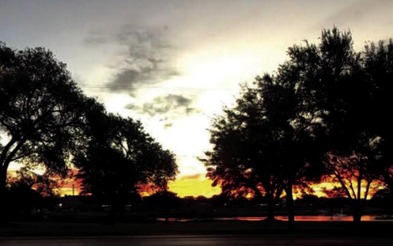 Keep Levelland Beautiful photo winners named