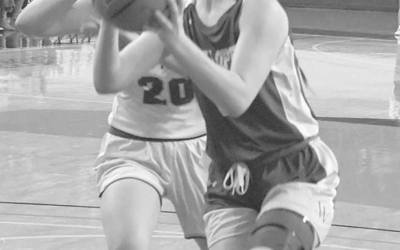 Local teams conclude playoff runs