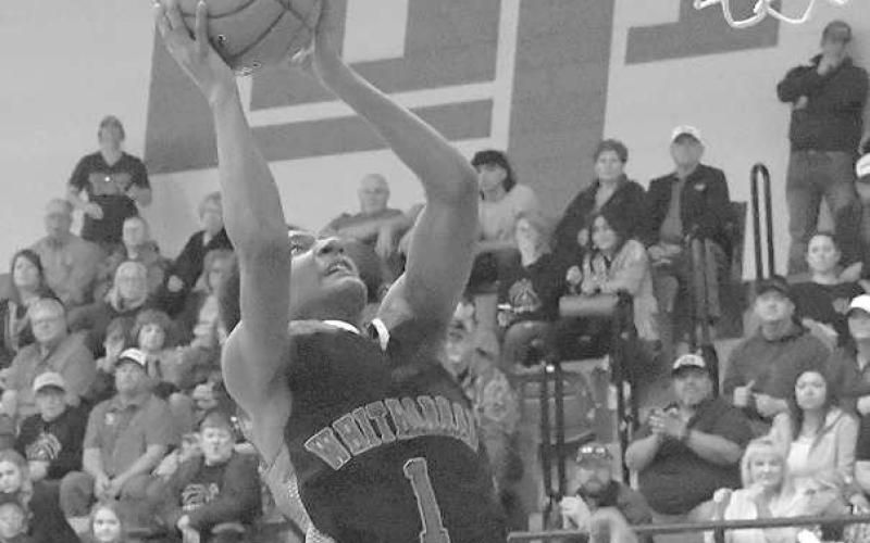 Local teams conclude playoff runs