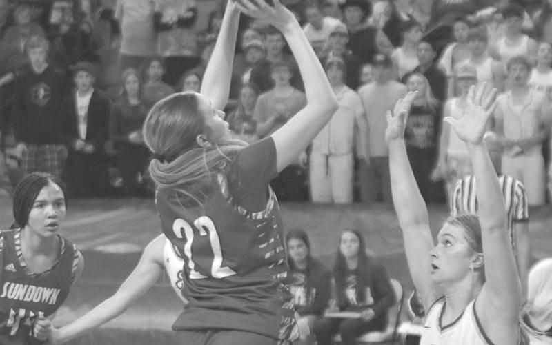 Local teams conclude playoff runs