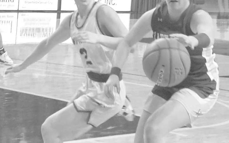 Local teams conclude playoff runs