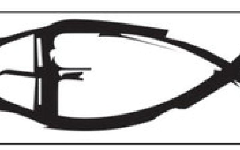 Alt Text for Image