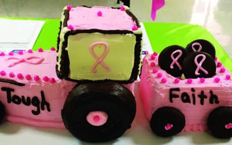 CANCER AWARENESS CAKE - The 50th annual Cochran County Cancer Cake-A-Thon will begin Saturday at 10:00 a.m. in the Cochran County Activity Building. The Cake-A-Thon explained that there will be a live radio auction from 10:00 a.m. to 4:00 p.m. and those listening and wanting to bid on a cake can call 806-266-5555. (Photo courtesy of Cheri Butler)