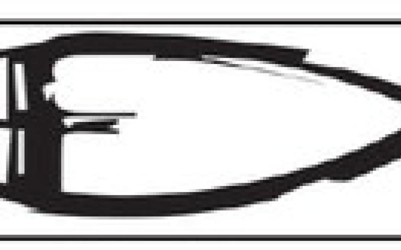 Alt Text for Image