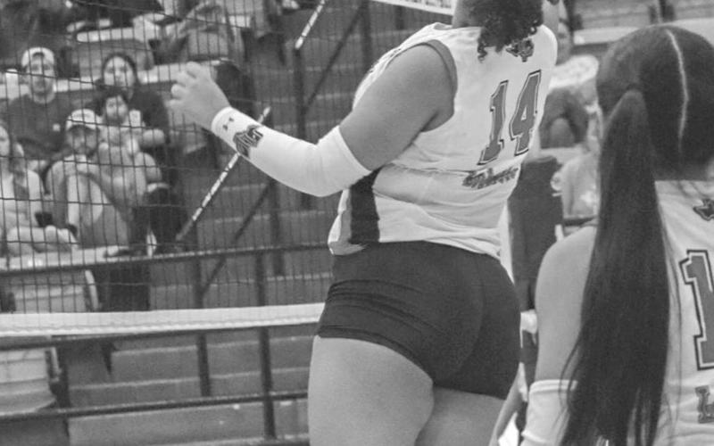TIPPED OVER - Levelland Loboette Trinity Wafer tipped the ball over the net this past Tuesday against the Seminole Maidens on the road. (Staff photo by Aalijah Soliz)