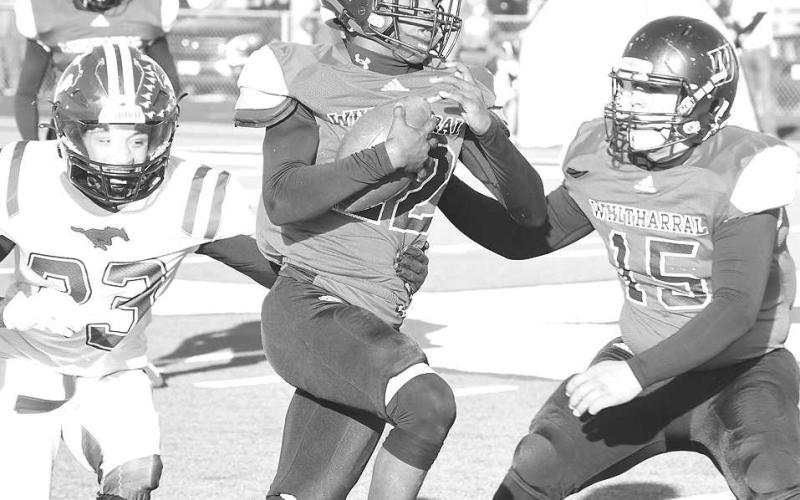 SPEED BACK- Shamadrick Weaver had 11 carries for 84 yards and a touchdown in a 76-31 UIL Class 1A2 high school football sem-final loss to the Benjamin Mustangs on Saturday in Hermleigh. The Panthers finish their season at 12-2. (Photo Courtesy of Jay Kelley)