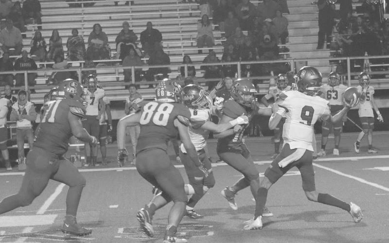 CLOSING SPACE- Sundown defenders (71) Dakota Golightly, (88) Jadon McAdams and (11)Michael Salazar close on the Bulldog QB. The Roughnecks defeated Tahoka at home last Thursday and punched their tickets to the playoffs. The Roughnecks drew undefeated Stratford (10-0) for the first round of the playoffs to be played in Hereford on Thursday, November 10th.