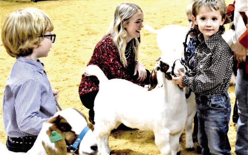 LIVESTOCK SHOW - The Hockley County Livetstock Show Peewee goats.