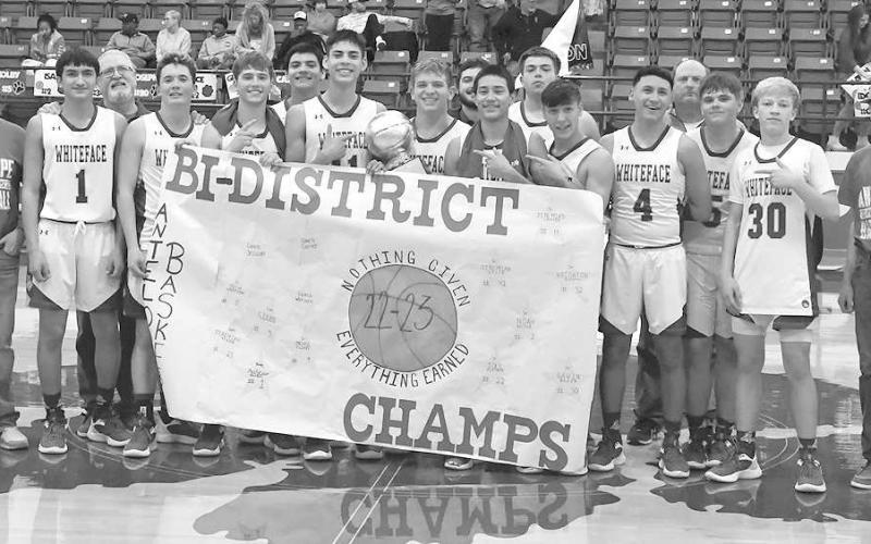 Local teams advance to area