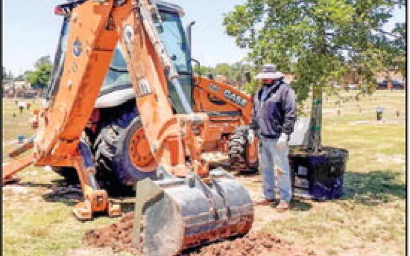 NEW TREES - The City of Levelland Cemetery crew were getting the grounds prepared for new trees Wednesday. The Parks and Cemetery department continually work to add new trees to parks and cemetery’s. (Photo courtesy of the City of Levelland)