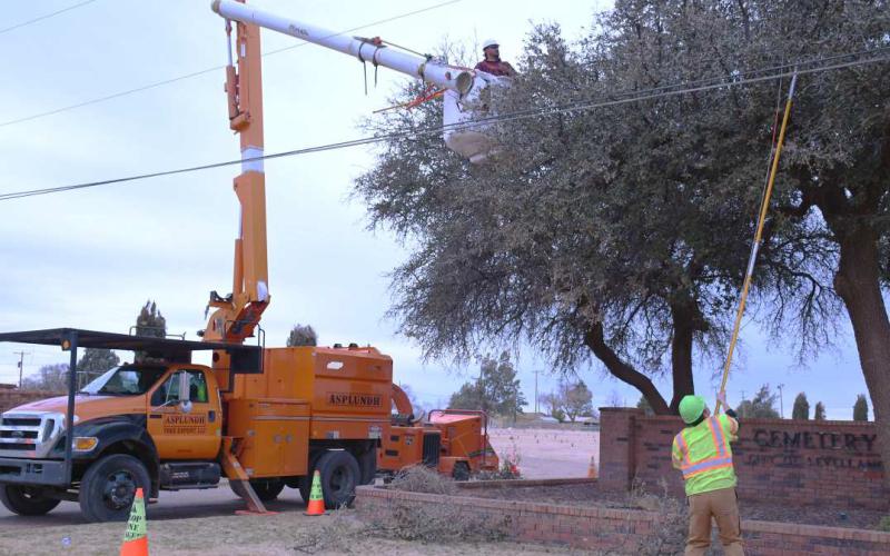WINDY CITY - With the windy weather the area has been facing throughout the week, Asplundh and several crews from the company were working on cutting down broken tree limbs. Pictured is Kevin Burbin and Mario Montes working on cutting and seperating tree limbs from power lines at the City of Levelland Cemetery Thursday morning. (Staff photo by Victoria Byrnes)