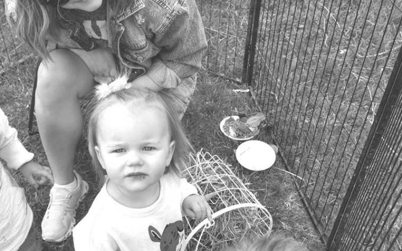 FUN WITH BUNNIES