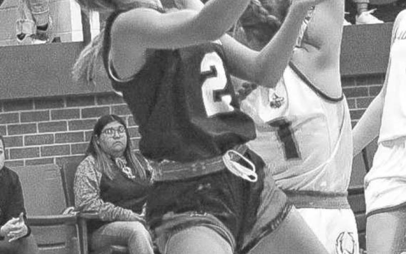 ATHLETIC - Whitharral Lady Panther Madi Chavez made the acrobatic lay up during the teams game against the Whiteface Lady Lopes last Friday night in district play. (Staff photo by Aalijah Soliz)