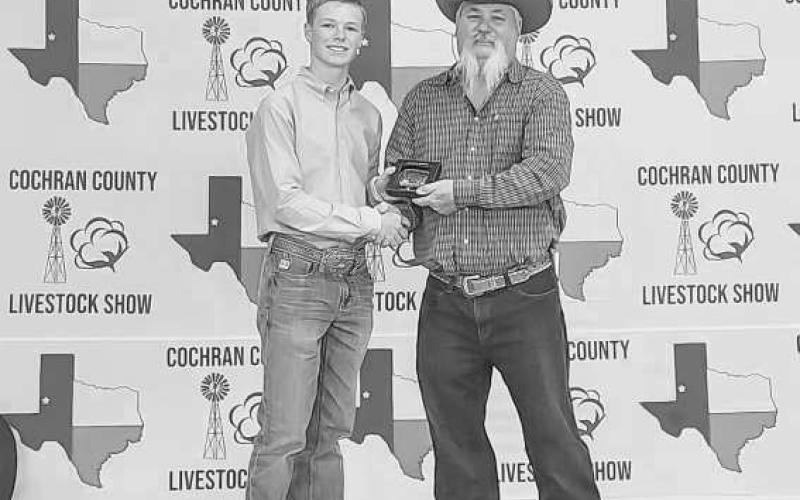 GRAND SR SWINE SHOWMAN - During the Cochran County Livestock Show, Luke Gresham earned Grand Sr. Swine Showmanship. (Photo courtesy of Shay Butler)