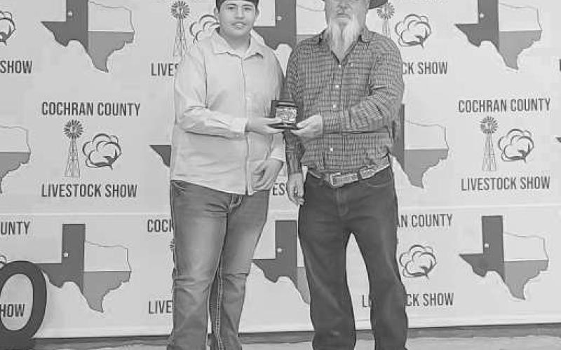 RESERVE GRAND CHAMPION GILT - During the Cochran County Livestock Show, Justin Rivas earned Reserve Grand Champion Gilt. (Photo courtesy of Shay Butler)