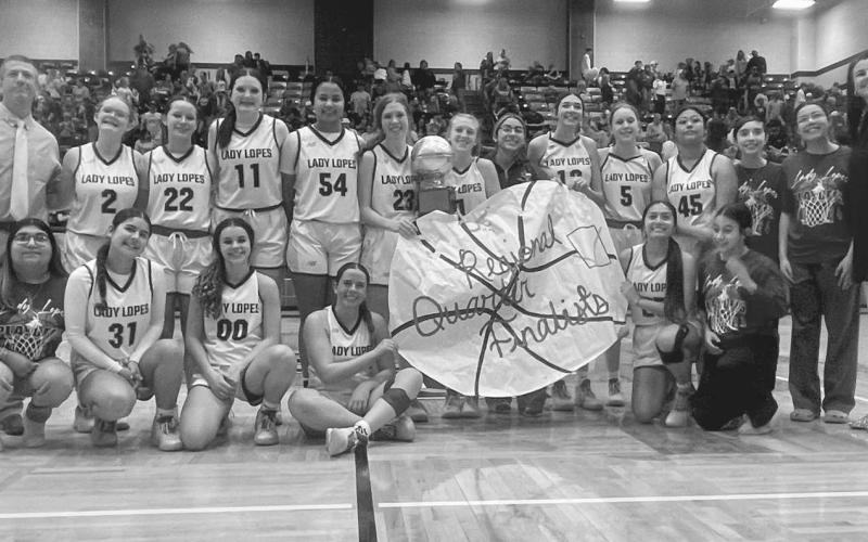 REGIONAL QUARTERFINAL CHAMPS - The Whiteface Lady Lopes took on the Klondike Lady Cougars this past Tuesday where they won their regional quarterfinal matchup. The Lady Lopes faced off against the Nazareth Lady Swifts this past Friday at the South Plains College Dome for their regional semi-finals matchup. (Photo by Holly Crutcher)