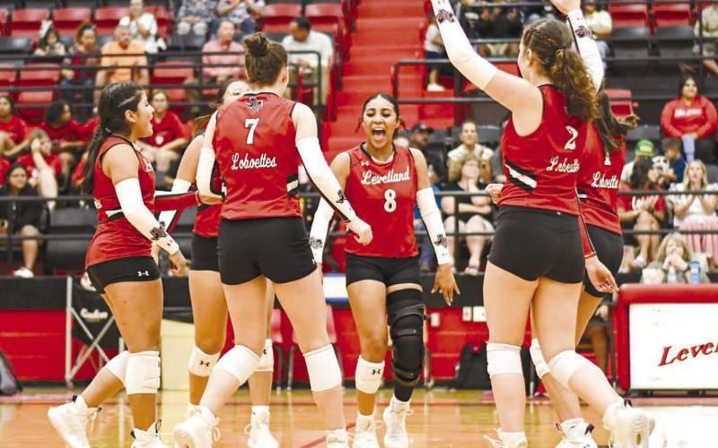 POINT FOR THE LOBOETTES – The Levelland Loboettes huddle up to celebrate after scoring a point during a volleyball game against Plains this past Tuesday at Levelland Highschool. (Staff photo by Jentezen Smith)