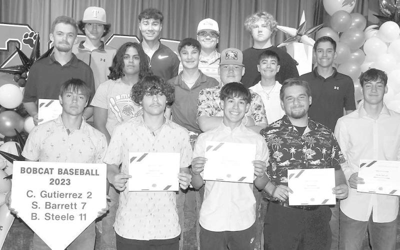 BASEBALL AWARDS