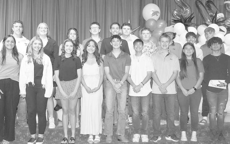 BASEBALL AWARDS