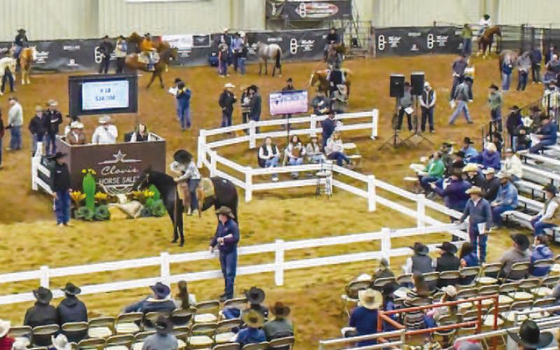 SALE DAY – Attendees of the Clovis Horse Sale sat in the audience to watch and buy horses during sale day on Nov. 23 at the Mallet Event Center and Arena. The Clovis Horse Sales returned to Levelland for a two day event, November 22-23. The featuring lineup included equine activities, demonstrations, and a live horse sale. The weekend event is family-friendly and is free and open to the public. (Staff photo by Evin Thomas)