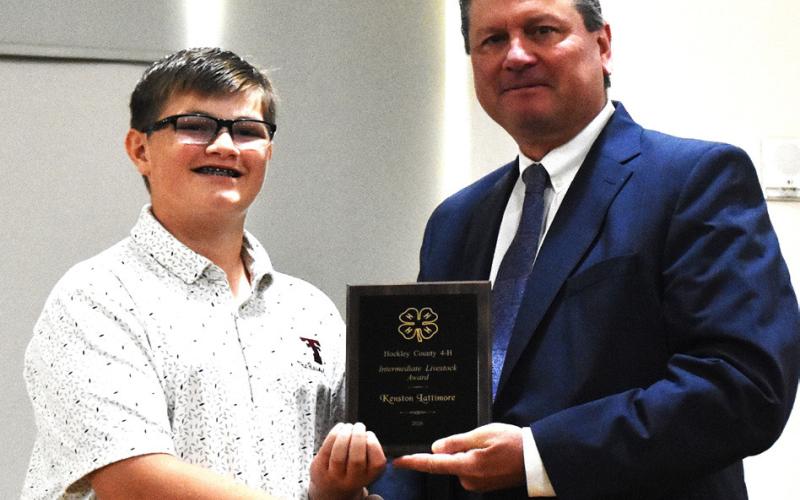 Hockley County 4-H Intermediate Livestock Award – Kenston Lattimore
