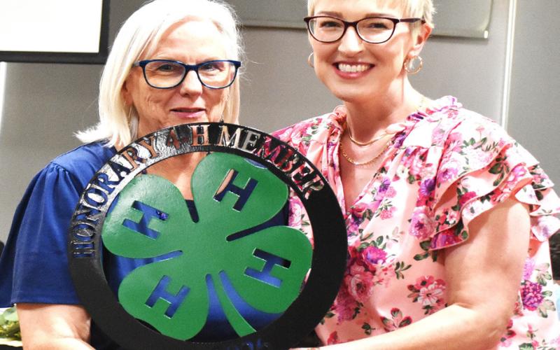 Hockley County 4-H Honorary 4-H Member Award – Donna Wheeler