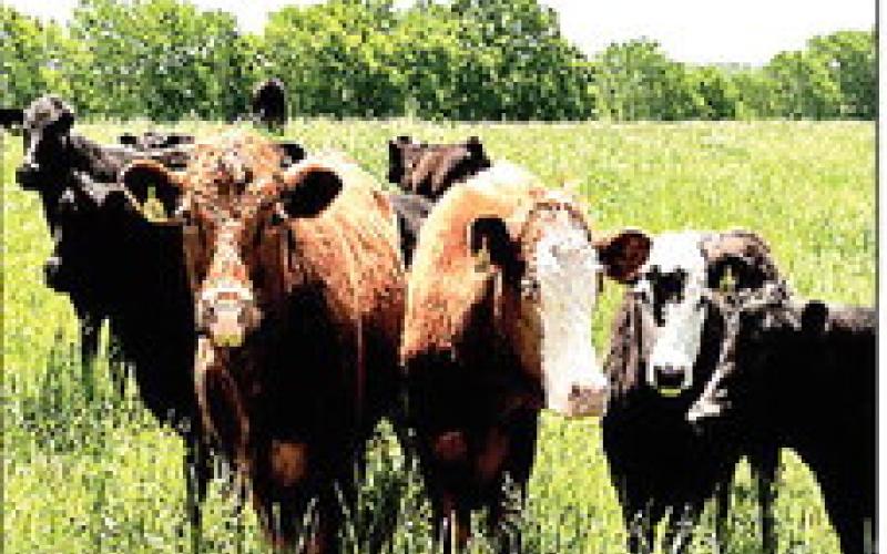 Texas producers support reopening of southern ports
