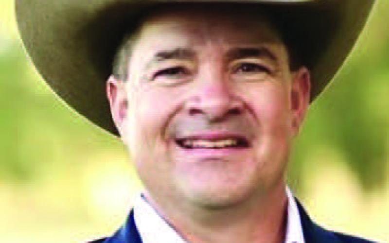 King to hold town hall Nov. 19