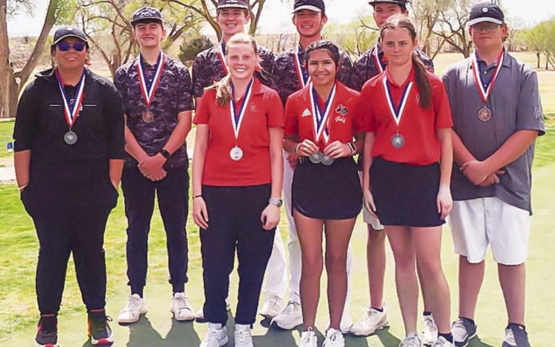Loboettes dominate Lakeview