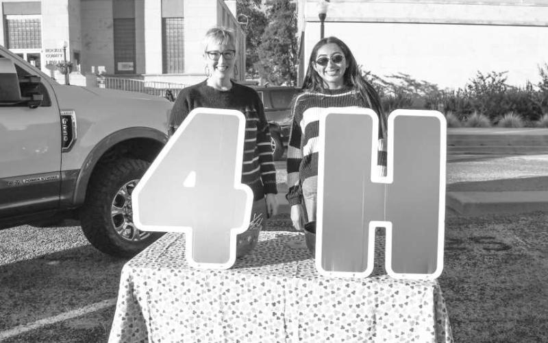HOCKLEY ORGANIZATIONS – Hockley County 4-H handed out lollipops and other candy to attendees of Thursday’s Trunk or Treat event in downtown Levelland. (Staff photo by Evin Thomas)