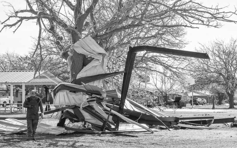 PARK DAMAGE – Various parks around the Levelland received some damage which mainly consisted of tree branches being broken and a few uprooted trees. However, the Kauffman Park did receive a large amount of damage to due the high winds from Wednesday morning. Pictured is a metal structure wrapped around one of the Kauffman Park trees. (Staff photo by Emily Campos)