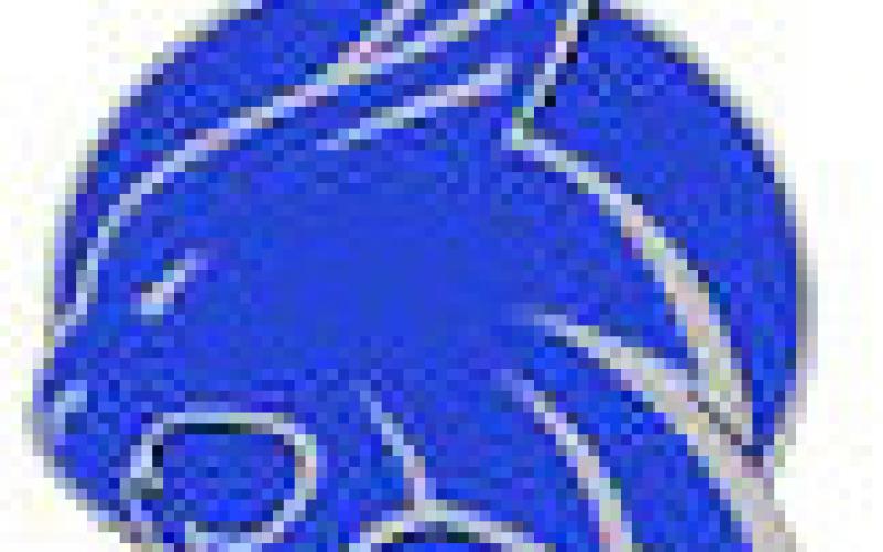 Smyer falls to Plains, 61-20