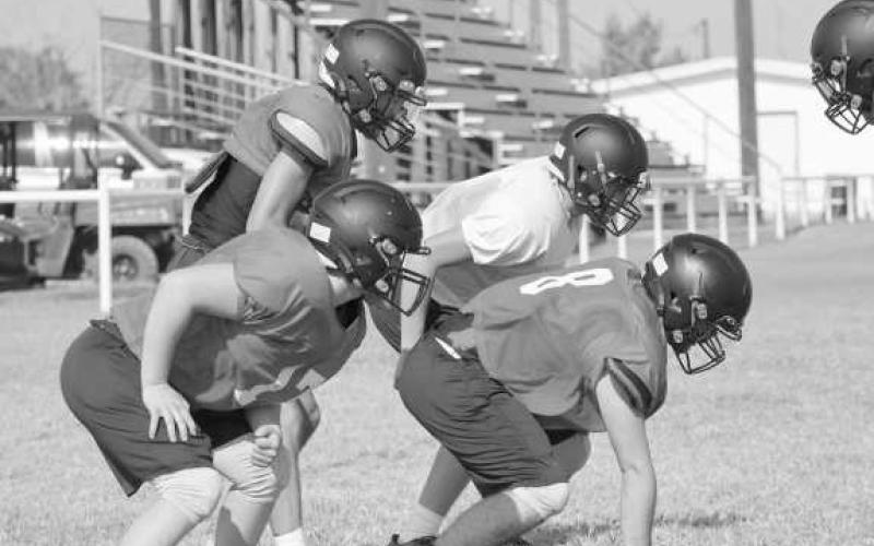 PANTHER D LINE -The Whitharral Panthers’ defensive line prepared to engage the offense during two-a-day workouts early this week at Whitharral High School. The Panthers will host Petersburg Friday, August 18th in their second scrimmage. (Staff photo by Aalijah Soliz)