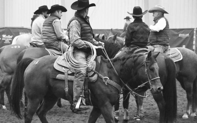 CLOVIS HORSE SALES -