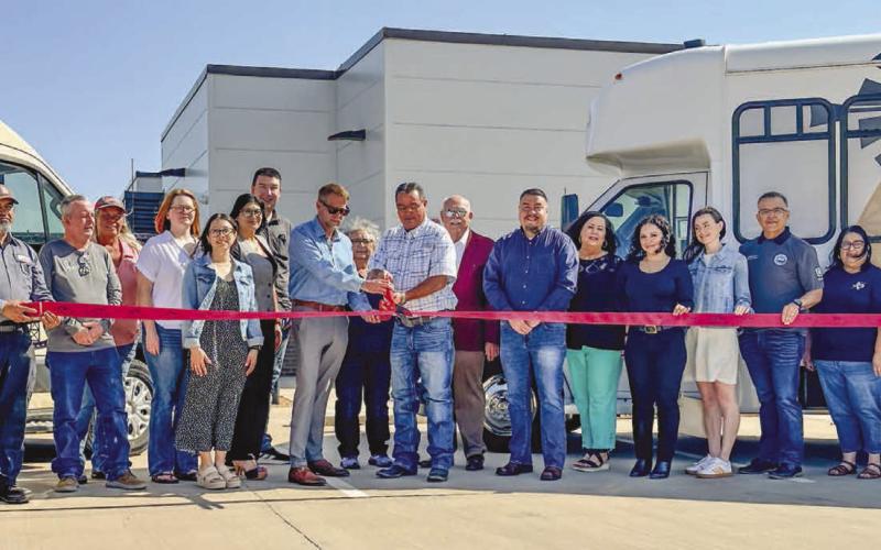 Levelland Animal Shelter website provides better experience