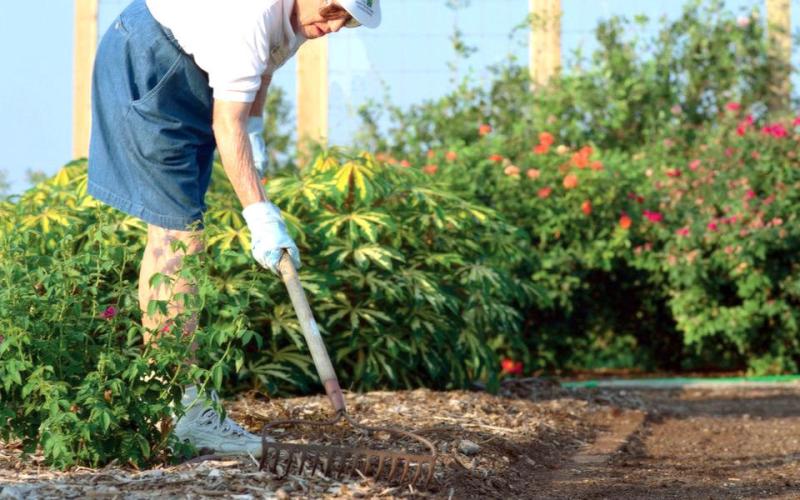 Start early for fall gardening preparation