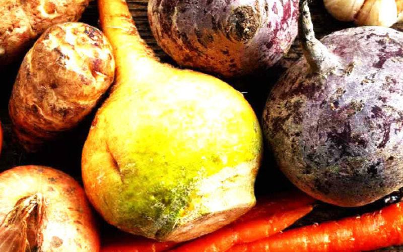 September means fall garden planting