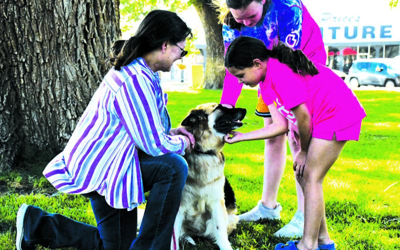 FUR BABY - Pictured are sisters Kaedyn and Kerringan Boggs with German Shepherd Sage and her owner Ruby Felan at a Hockley County Summer Reading Program event, June 28. The event showcased the importance of medical alert dogs and allowed the children to interact with the dogs. (Staff photo by Victoria Byrnes)