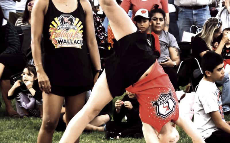 2026 Falling for the Wallace Festival