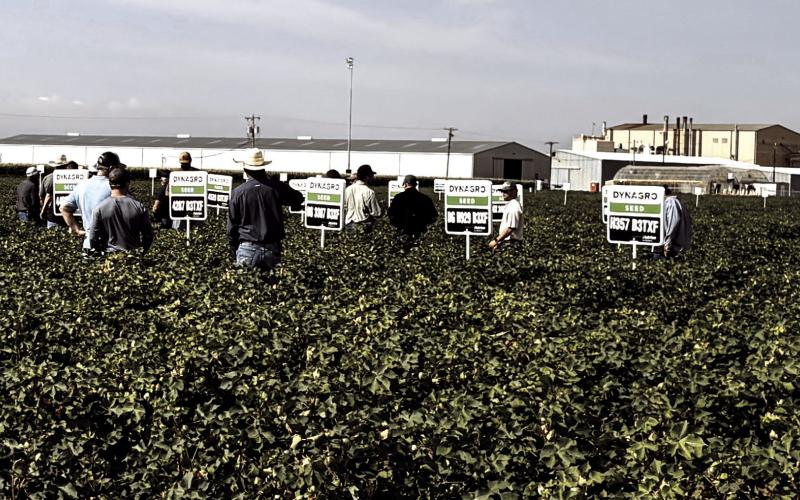 Nutrien Ag hosted tours for farmers and ranchers at innovation farms in Levelland, Lubbock and New Mexico featuring the latest advancements in agronomy, precision agriculture, irrigation manament and data-driven farming solutions.