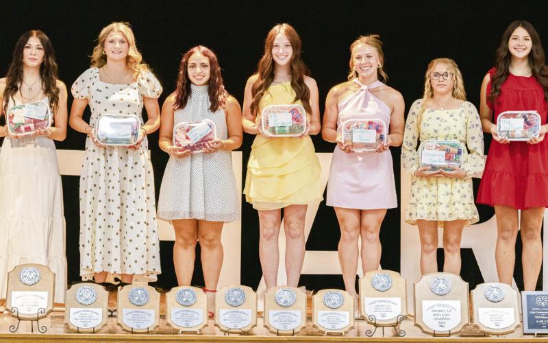 CHEER RECOGNITION - Madyson Nickelson, Kalyn Bates, Emma Gonzales, Paige Smith, Emberly Prowell, Brooklyn Nickelson and Allegra Gavina. (Staff photo by Eric Venkatesan)