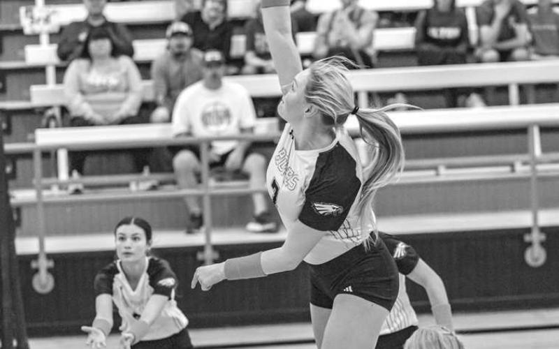 NOT OVER HERE - Ropes Lady Eagle Bree Stumbo sent the ball to the other team to get her team the point where they won district with a record of 30-10. (Photo courtesy of Donovan Martin)