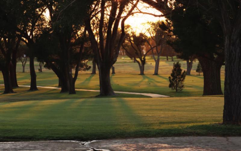 SECOND PLACE PHOTO - Randy Coffman also won second place in the Keep Levelland Beautiful Photo Contest with this photo he took of the Levelland Country Club Golf Course with a peek of the evening lights coming trough the trees. (Photo courtesy of Randy Coffman)