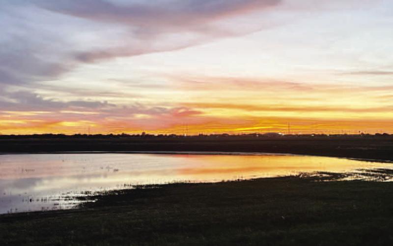 THIRD PLACE PHOTO - James Guzman won third place in the Keep Levelland Beautiful Photo Contest with a photo of a lake with a beautiful sunset. Guzman recived a gift card courtesy of Walmart. (Photo courtesy of James Guzman)