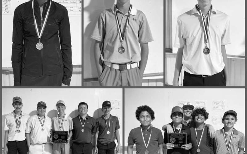 SMS Golf excels